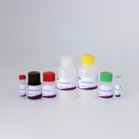 Kit ELISA PEDV pour la détection des anticorps du virus de la diarrhée épidémique porcine (PEDV) chez les porcs