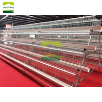 Nouvelle cage à poules automatique à 4 niveaux en forme de A, galvanisée à chaud, cage à batterie pour volailles, abreuvoirs à tétine, conception à 5 portes, haute résistance à la corrosion