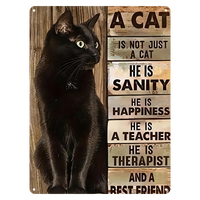 Dropshipping Signes en métal vintage sur le thème du chat Plaque métallique décorative 40*30 cm Impression UV Poster en métal pour décoration murale