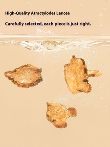 Pequim Tonbrentang <span class=keywords><strong>Atractylodes</strong></span> 200g Saúde Erva Chá Secagem Húmica e Fortalecimento do Baço Expulsando Vento TCM Ervas Spic - Product Image 3