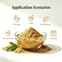 Poudre fine de kaki 80-100 mesh soluble dans l'eau, disponible en OEM, pour smoothies, bonbons, glaces et comme matière première alimentaire