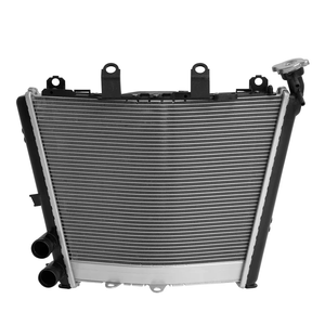 ระบายความร้อนหม้อน้ำเย็นสำหรับ <span class=keywords><strong>BMW</strong></span> <span class=keywords><strong>M1000RR</strong></span> 2021-2024 S1000R 2021-2024 S1000RR 2019-2024 - Product Image 1