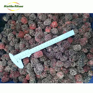 Groothandel Biologische Bevroren Braambes Bulk Iqf 10Kg Hele Vruchten Met Waterbehoud - Product Image 2