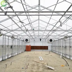 automated light deprivation greenhouses for medical herbs growing mushroom blackout system