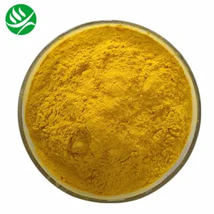 Extrait de Berberis Aristata de haute qualité Berberine Hcl 98% Chlorhydrate de berbérine