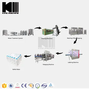 Complete Bottle Liquid Plant 3 IN 1 Automatic Pure Drinking Mineral Water Filling Machine Production Line