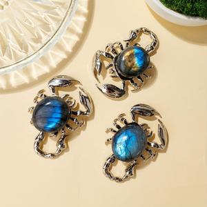 Cristales Naturales al por Mayor, Cristal Tallado, Labradorita, Animales Curativos, Piedras de Cristal en Bruto, Escorpión para Decoración - Product Image 1