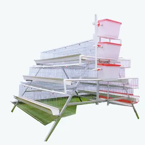 Automatic Battery a Type 3 Tiers Bird Harvesting chicken cage for layers poultry farming