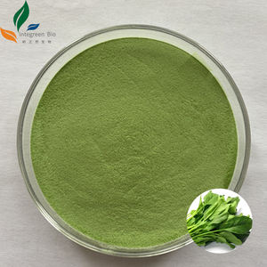 天然ほうれん草エキス粉末野菜有機10:1 20:1 30:1ほうれん草の葉エキス有機赤ほうれん草エキス - Product Image 1