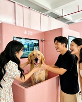 Machine à laver pour animaux de compagnie personnalisée, multifonction, pour chiens et chats, nettoyeur de toilettage