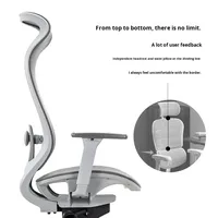 Chaise de bureau ergonomique et confortable en maille pour usage domestique, idéale pour les jeunes étudiants, avec dossier intégré et soutien lombaire ergonomique pour une assise prolongée.