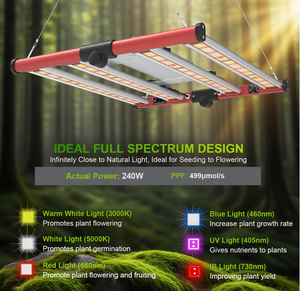 240W Groeilamp LM301H EVO LM281B IP65 Volspectrum Bloei Verlichtingsbalk voor Indoor Verticale Landbouw - Product Image 3