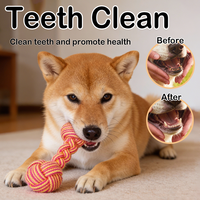 Juguete Interactivo para Perros con Forma de Mancuerna Clásica, Resistente a Mordidas, con 2 Pelotas, para Limpiar los Dientes y Jugar en Interiores
