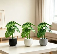 Nouvel Arrivage Transfrontalier : Plante Monstera, Sous-verre Monstera, Plante Artificielle en Pot, Imprimée en 3D, Faite à la Main, Amovible, Pour Intérieur
