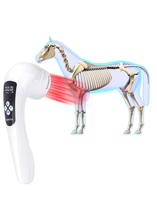 Mesin Laser dingin dokter klinis, garansi seumur hidup layar sentuh dapat diatur | Meringankan operasi hewan anjing/Kucing/kuda - Product Image 4