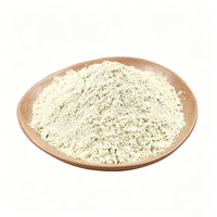 Complément alimentaire de qualité alimentaire à base de plantes, sans gluten et sans sucre, faible en glucides, poudre de protéines de haricot mungo à 80%