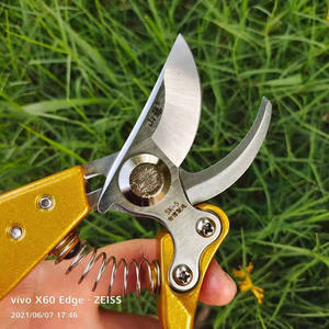 Tijeras de podar para viñas de montaña de 20-30 mm, herramienta de jardín bypass para cortar ramas de árboles frutales, acero aleado amarillo, fabricado en Taiwán - Product Image 1