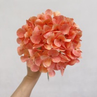 Vente en gros de boules d'hortensias artificielles Monet à 72 pétales, 67 cm, aspect soie, orange clair, pour la décoration de mariage, de la maison et des vases