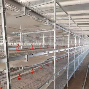 Meilleure vente pas cher prix 4 niveaux 96 oiseaux chaque ensemble H Type entièrement automatique batterie de poulets de chair poulet volaille système de <span class=keywords><strong>cage</strong></span> pour Oman - Product Image 4