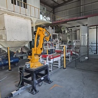 Robot articulé de haute qualité pour le chargement, le déchargement, le stockage et la palettisation de la farine de manioc en sacs