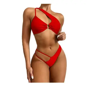 2023 Spring&Summer Bathing Suits for Women Luxury High Cut Swimsuit Swimwear Manufacturer Two Piece Bikini
