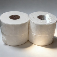 Papier toilette écologique en rouleau jumbo - 2 plis, feuilles blanches