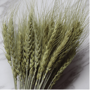 Roses séchées naturelles Blé Usage domestique Mariage Saint Valentin Arrangements de fête des pères Décorations de chambre Bouquet de fleurs fait main - Product Image 5