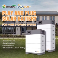 Batterie solaire au lithium LiFePO4 haute tension BYD pour usage domestique 400Ah 48V 51.2V 10Kwh – Prix des batteries de stockage d'énergie solaire