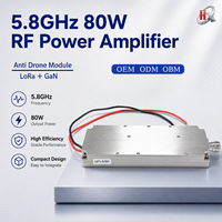 Modul Penguat Rf GaN 80W 5.8GHz yang Dapat Disesuaikan, Modul Lora, Modul Anti-Drone Rf dengan VCO Terintegrasi