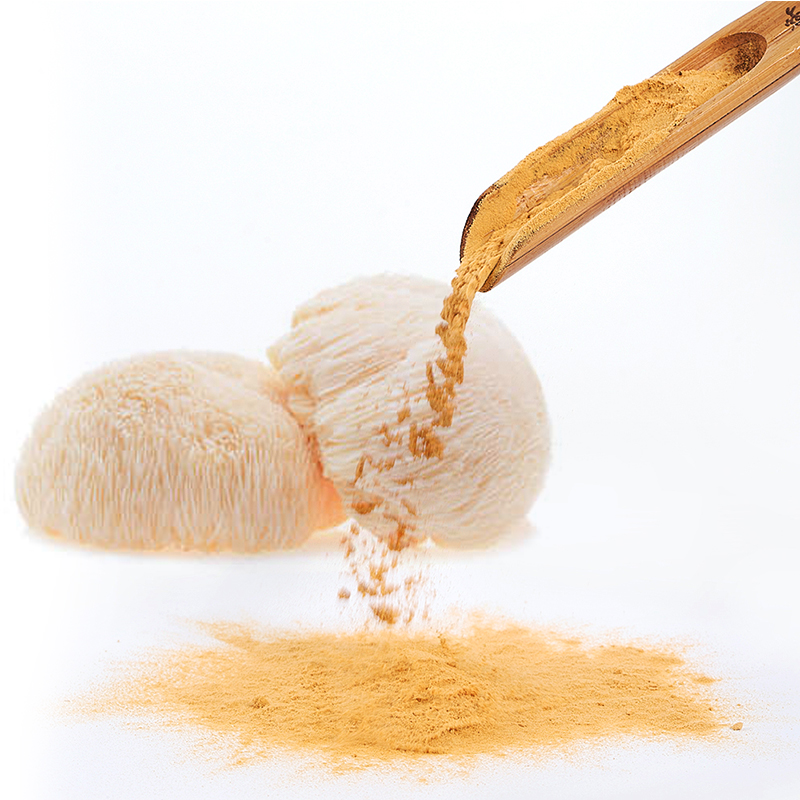 Top Grade Chinese Medicinal Mushroom Extract Lions Mane Powder 100% Organic