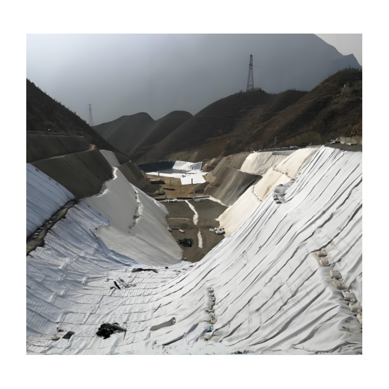 Reinforcement Geotextile Geogride Geotextile Fabric for Gravel Driveway