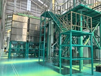 Proyecto de Molino de Harina de Trigo de 120 TPD para Etiopía con Motor de Acero Inoxidable 304 de Alta Eficiencia y Engranajes