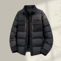 Nouvelle veste d'hiver pour homme en duvet de canard blanc à 90 %, col montant, fermeture éclair, style décontracté et tendance