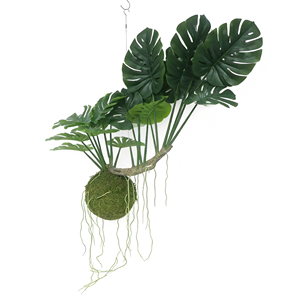 <span class=keywords><strong>Plante</strong></span> suspendue artificielle Monstera en boule de mousse, <span class=keywords><strong>grande</strong></span> <span class=keywords><strong>plante</strong></span> tropicale Monstera suspendue <span class=keywords><strong>pour</strong></span> plafond, fenêtre, <span class=keywords><strong>bureau</strong></span>, décoration de la maison - Product Image 5