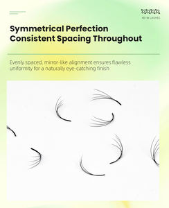 Extensions de <span class=keywords><strong>cils</strong></span> professionnelles <span class=keywords><strong>en</strong></span> plateau 4D, style naturel personnalisé, longueurs mixtes, épaisseur 0.07, courbure B C, espacement symétrique, vente <span class=keywords><strong>en</strong></span> gros - Product Image 3