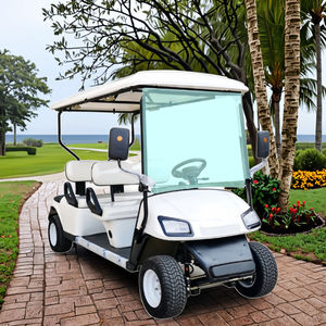 Voiturette de golf électrique 4 places de qualité supérieure, prix promotionnels du fabricant, très demandée, pour usage hors route publique - Product Image 1