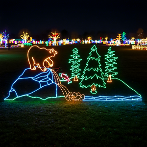 Vente d'usine, motif LED 2D, fil lumineux coloré, cadre en fil métallique, décoration de Noël commerciale en extérieur <span class=keywords><strong>pour</strong></span> l'éclairage des festivals, matériau PVC - Product Image 1