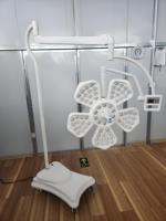 Lampe chirurgicale LED pour bloc opératoire vétérinaire, lampe frontale pour animaux