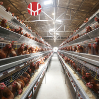 Nuevo Sistema Profesional de Jaulas para Aves de Corral YiFeng, Jaulas para Gallinas Ponedoras Tipo A, Alambre de Acero de Bajo Contenido de Carbono, Modelo YF-A120/YF-A160 para Tailandia