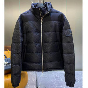 Veste d'hiver en duvet de luxe pour hommes et femmes, style identique, épaisse, nouvelle tendance, manteau chaud d'hiver - Product Image 1