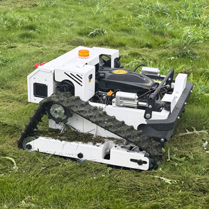 Tondeuse robotisée intelligente 600 mm avec moteur 224cc, livraison gratuite, certifiée CE EPA, pour terrains en pente et jardins - Product Image 3