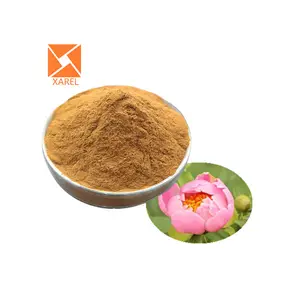 Red peony root Extract High Quality red peony extract powder/radix paeoniae rubra extract