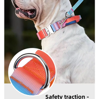 Ensemble collier et laisse pour chien en nylon personnalisé, boucle à dégagement rapide décorative, taille universelle pour chiens de taille moyenne/grande/géante