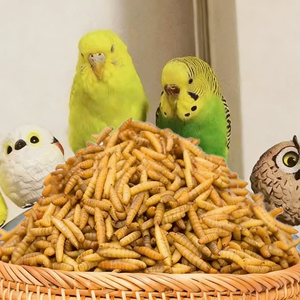 化学物質不使用、非遺伝子組み換えのブラックソルジャーフライ乾燥幼虫は、ペットの免疫システムをサポートする完全な栄養を提供します。 - Product Image 4