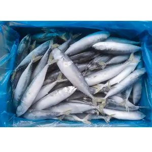 100-120 dondurulmuş uskumru fiyatları toptan dondurulmuş pasifik uskumrusu balık scomber japonicus