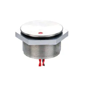 Interruptor piezoelétrico de metal de aço inoxidável de alta resistência com anel de LED IP68 selado subaquático de cabeça plana de 30 mm à prova d'água 12 volts