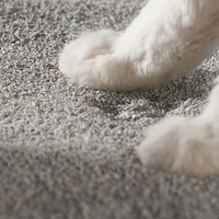 Litière pour chat en minéraux bruts anti-odeurs, performance de compactation stable, ultra faible teneur en poussière, résistante à l'humidité, sable écologique pour chat