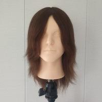 Tête de Mannequin d'Entraînement en Cheveux Humains 100% Naturels, Sans Maquillage, Cheveux Bruns, pour Salon de Coiffure et École, Idéale pour la Coupe - Vente en Gros