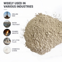 Poudre de bentonite de sodium de qualité API, haute viscosité, pour boues de forage pétrolier et gazier, forage HDD et forage de puits d'eau