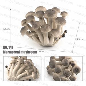 Изготовленная на заказ пластиковая игрушка фабрика ботаника обучающий ресурс реалистичные различные типы грибов модель для детей развивающая игрушка - Product Image 4